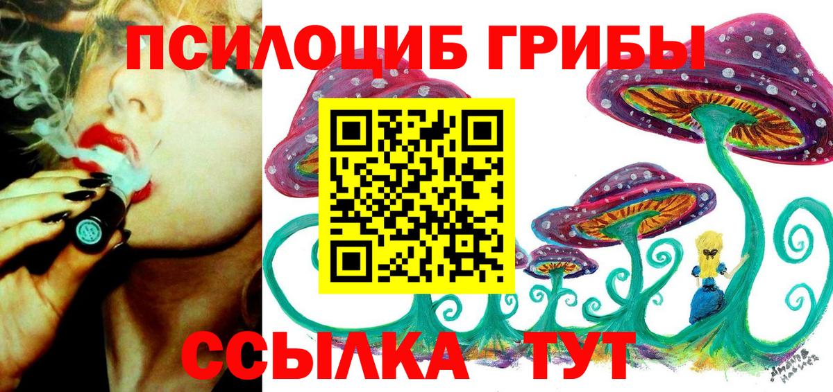 Псилоцибиновые грибы мухоморы Апшеронск